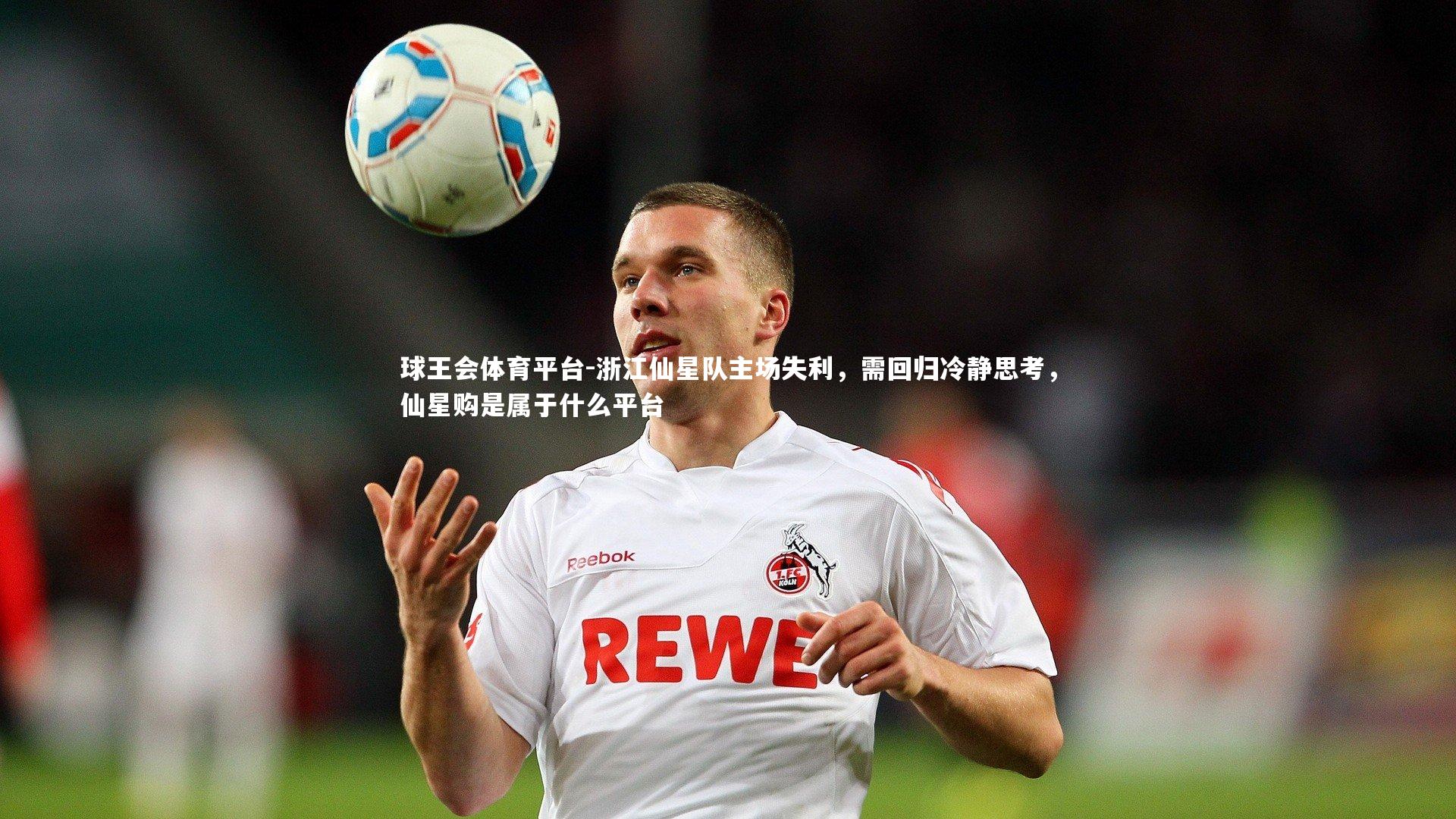 浙江仙星队主场失利,需回归冷静思考,仙星购是属于什么平台