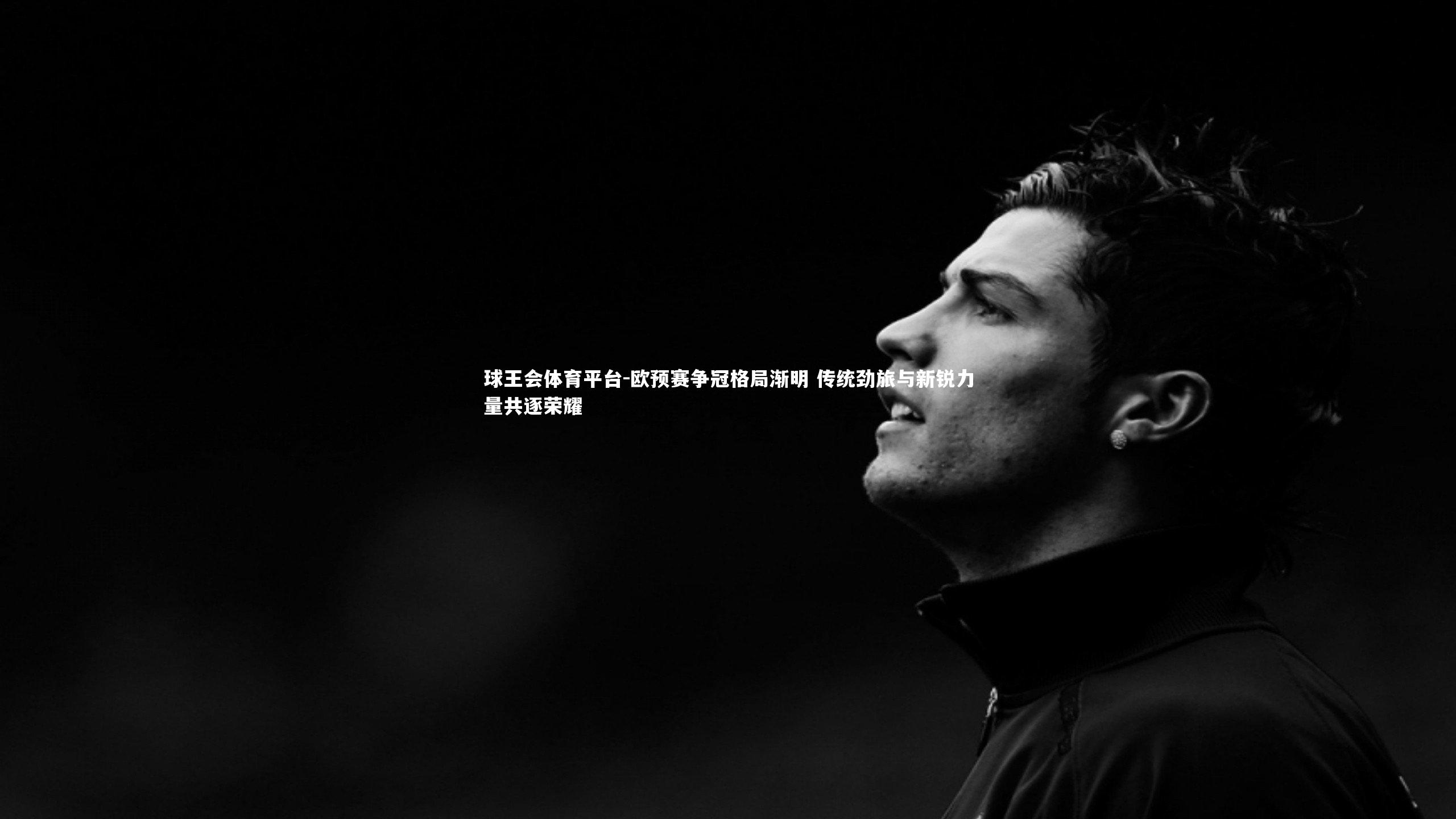 球王会体育平台-欧预赛争冠格局渐明 传统劲旅与新锐力量共逐荣耀